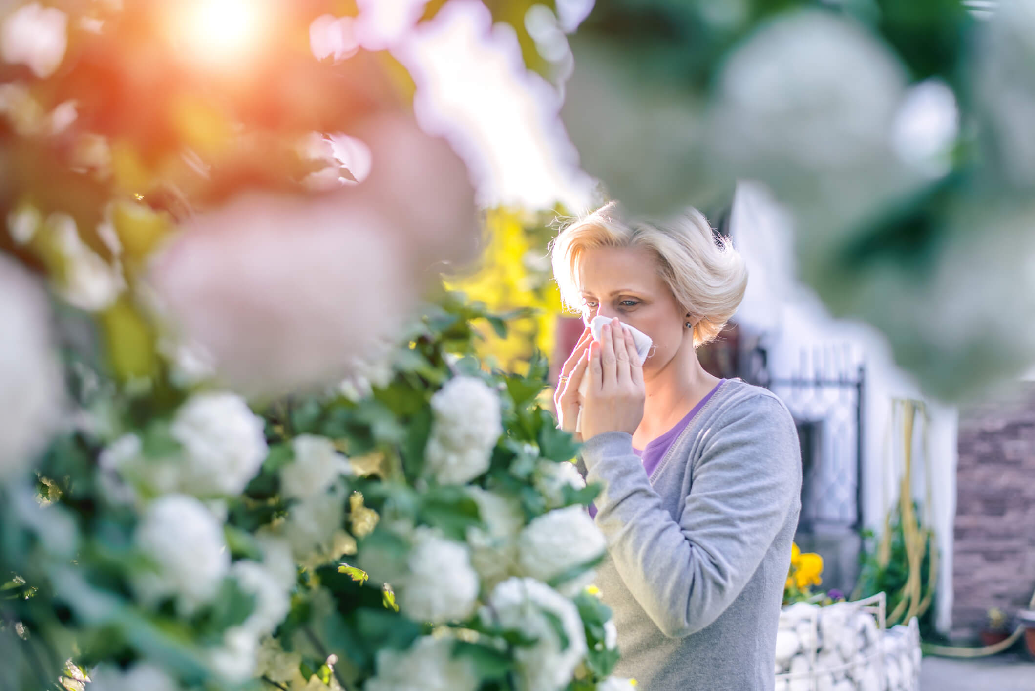 hay-fever
